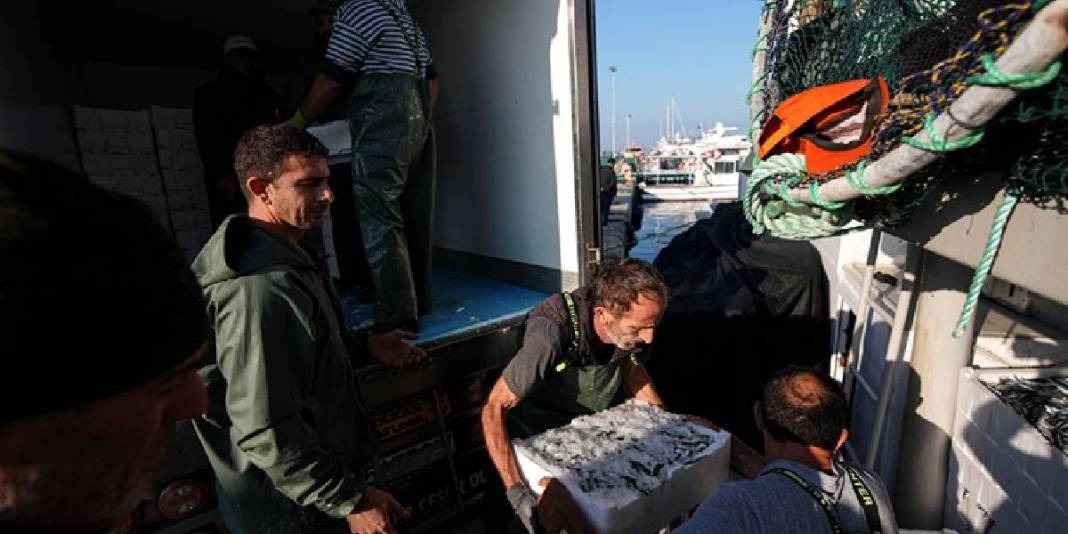 İşçi sorunu denizleri de vurdu! 80.000 TL’ye yine de çalışmıyorlar: Futbolcu misali transfer oluyorlar 6